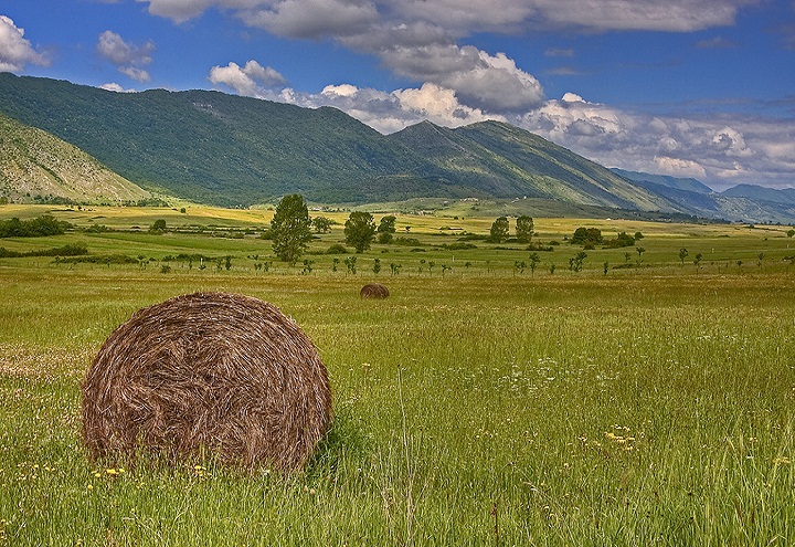 lybra cooperativa sociale territorio