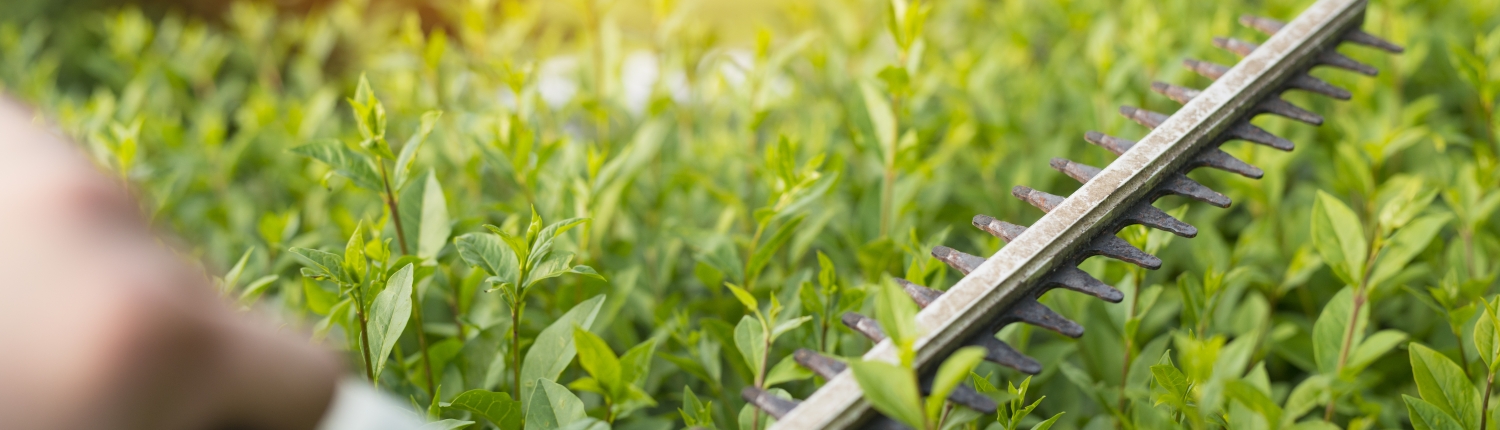 lybra cooperativa sociale chi siamo